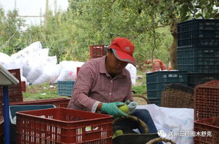 师市要闻播报