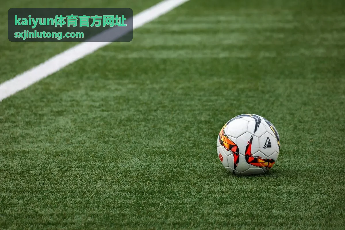 kaiyun体育官方网址 账号安全提示配图