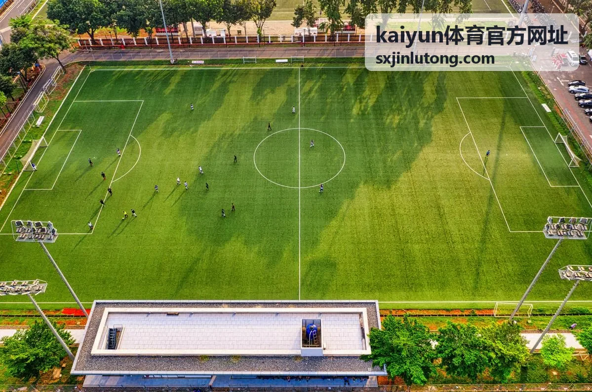 kaiyun体育官方网址 官方入口操作顺序配图