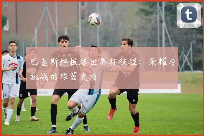 巴基斯坦板球世界杯征程：荣耀与挑战的绿茵史诗