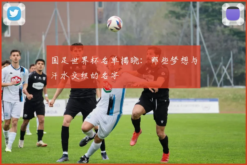 国足世界杯名单揭晓：那些梦想与汗水交织的名字