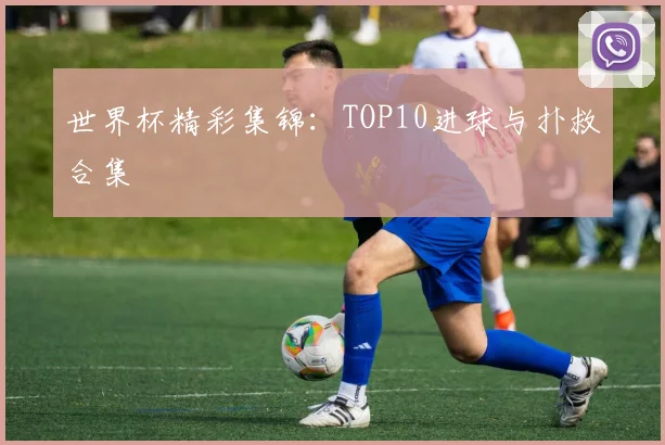 世界杯精彩集锦：TOP10进球与扑救合集