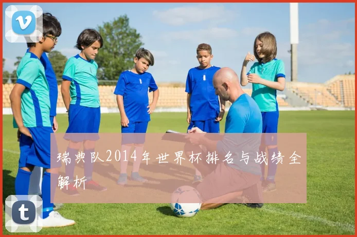 瑞典队2014年世界杯排名与战绩全解析