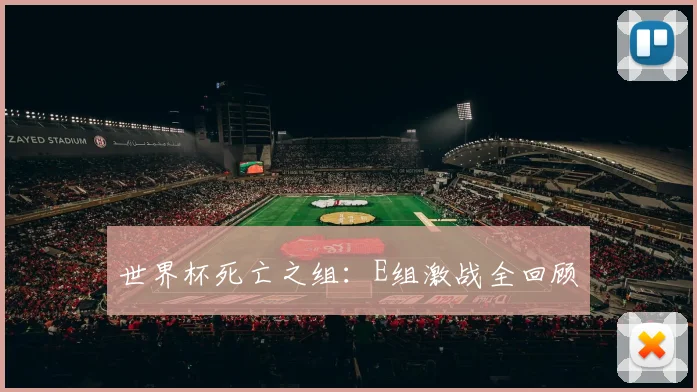 世界杯死亡之组：E组激战全回顾