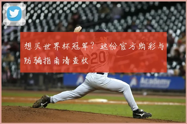 想买世界杯冠军?这份官方购彩与防骗指南请查收