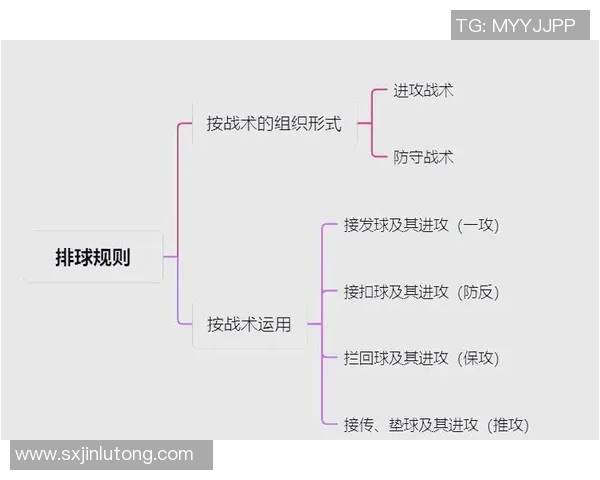 广州排球队整体压制打法深度分析与战术解读