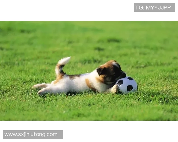 精选iPad足球明星壁纸让你的屏幕焕发活力与激情尽享足球魅力与明星风采